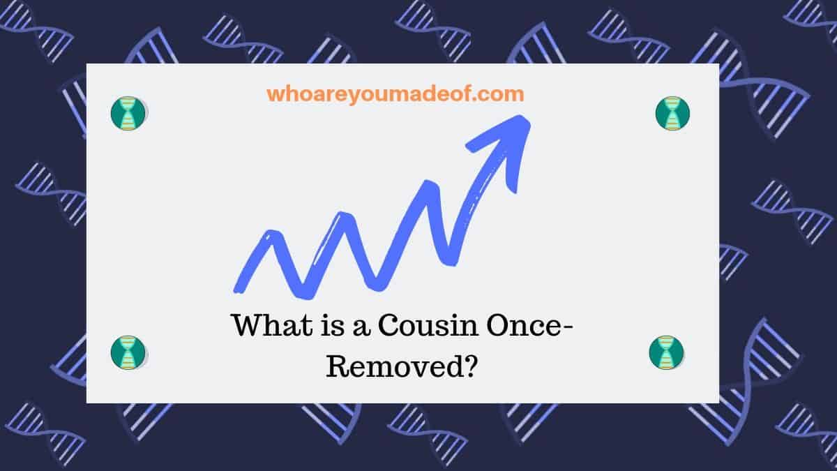 What is a cousin once removed