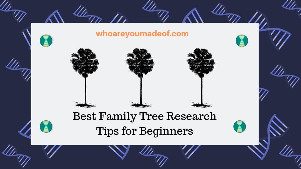 Best Family Tree Research Tips for Beginners