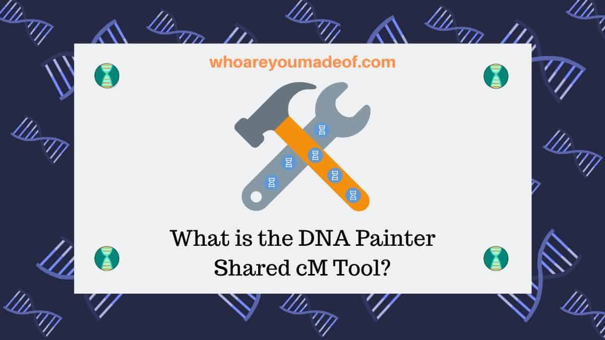What is the dna painter shared cm tool who are you made of 