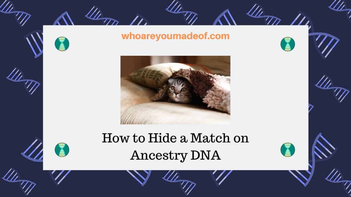 How to Hide a Match on Ancestry DNA