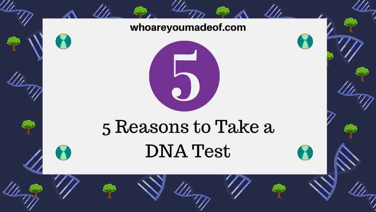 5 Reasons to Take a DNA Test