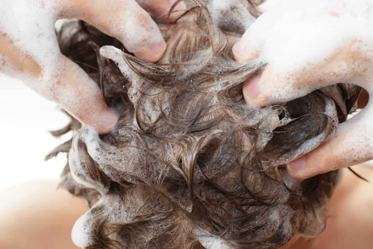▷ Antischuppenshampoo selber machen ▷ Gratis | AGORO.de Erfahre mehr über selbstgemachtes Antischuppenshampoo und welche Rezepte es für fettige und trockene Schuppen gibt. Fotolia © cirquedesprit