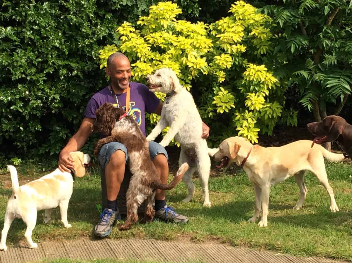 Find local dog daycare 1 fun in the garden with our daycare and boarding guests at eWoof