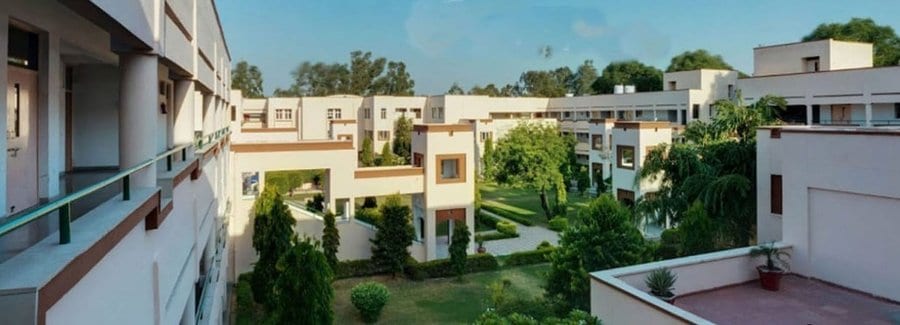 Apeejay Stya University Gurgaon Apeejay Stya University Gurgaon