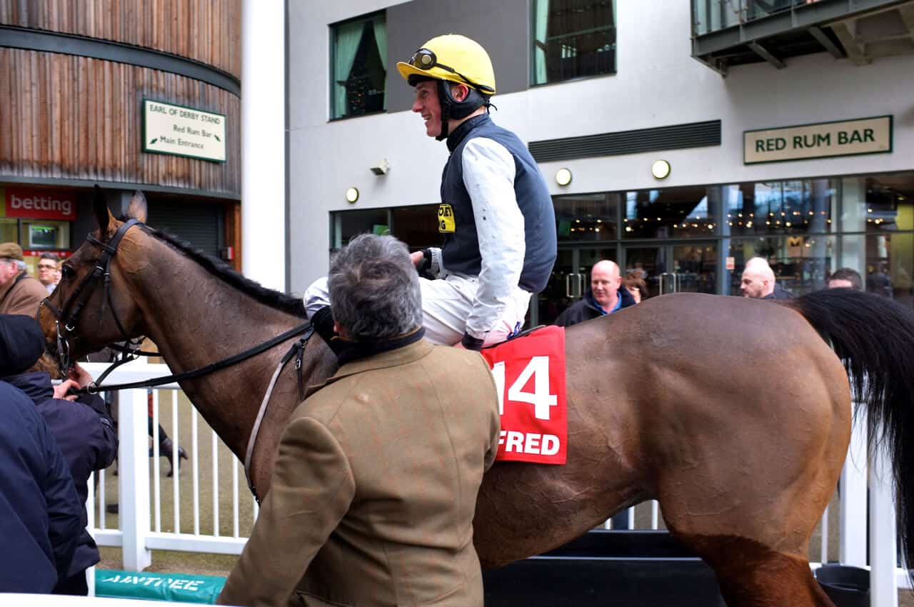 Hello Bud At Aintree