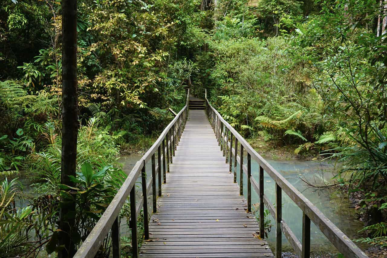 Meine Eindrücke - Singapur Reisetipps sind sehr wichitg, ich empfehle euch aufjedenfall in die Natur zu gehen Meine Eindrücke - Singapur Reisetipps sind sehr wichitg, ich empfehle euch aufjedenfall in die Natur zu gehen