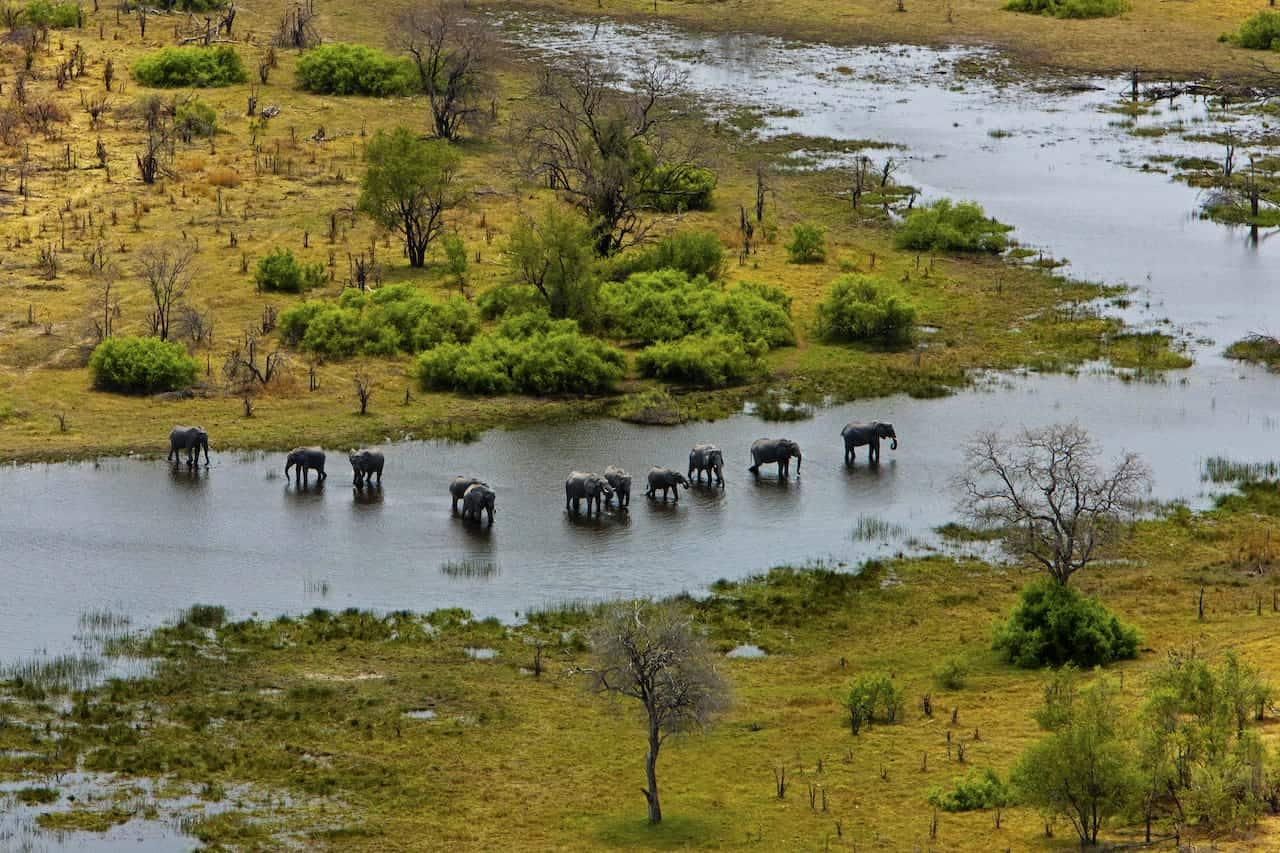 Selinda Explorers Camp-Landscape-GreatPlainsConservation-12