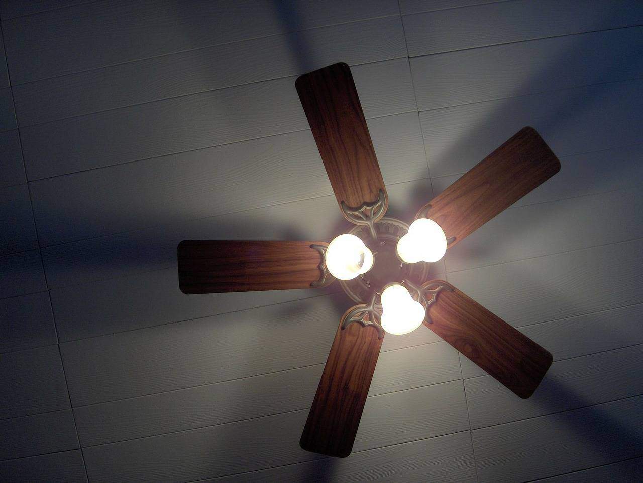 five blade with lights
