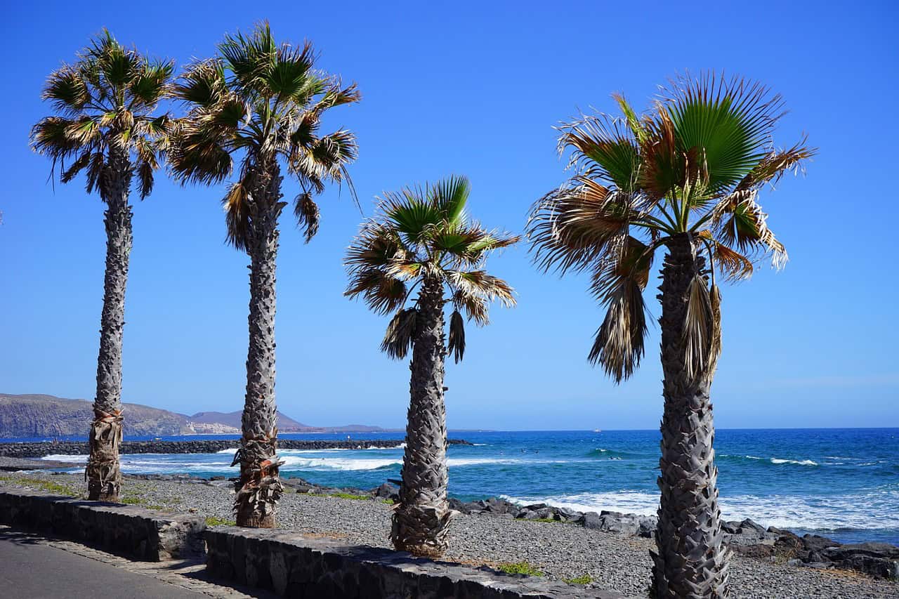 Promomenade des Playa de las Americas Promomenade des Playa de las Americas