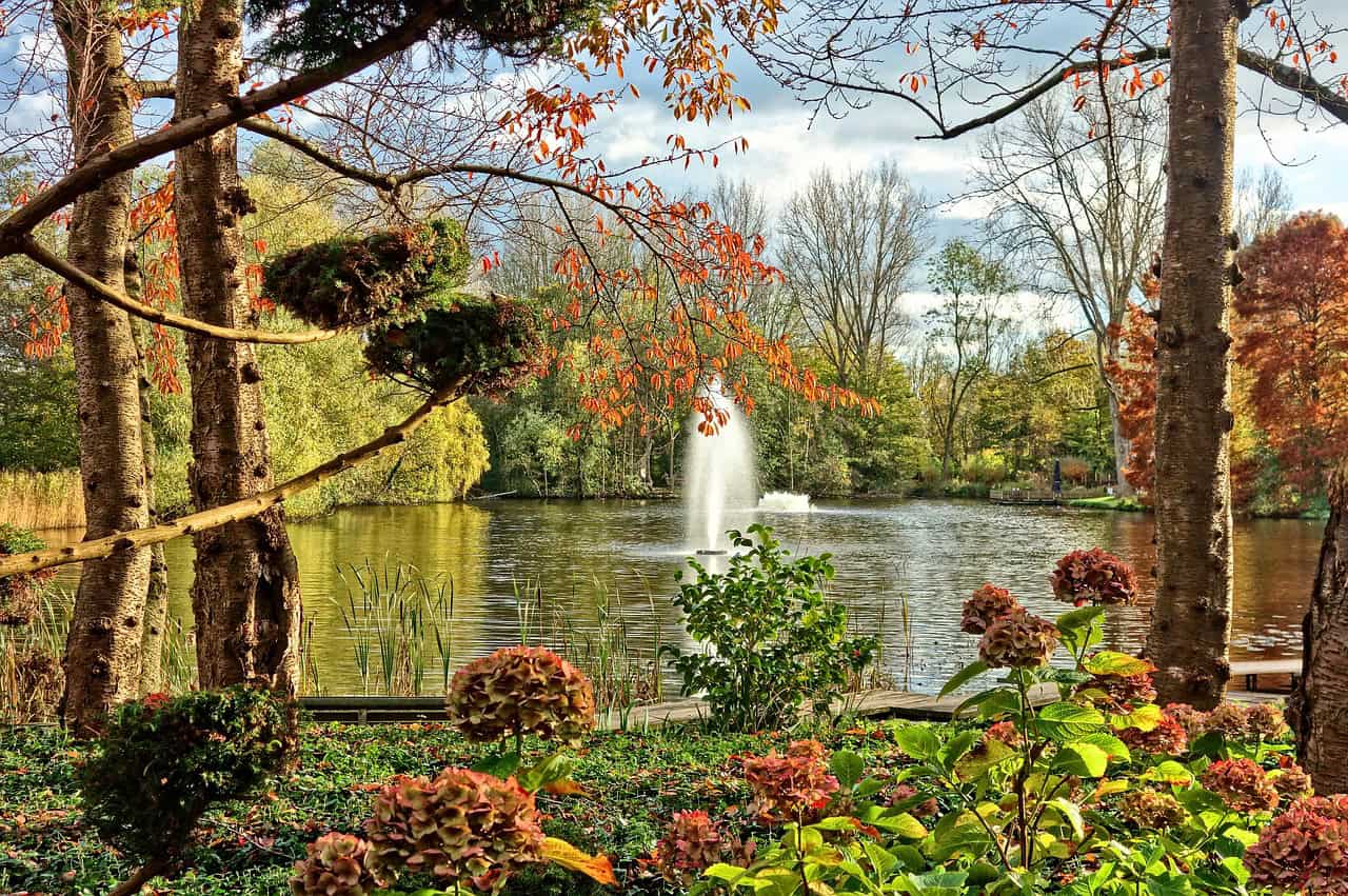 Vondelpark in der City Vondelpark in der City