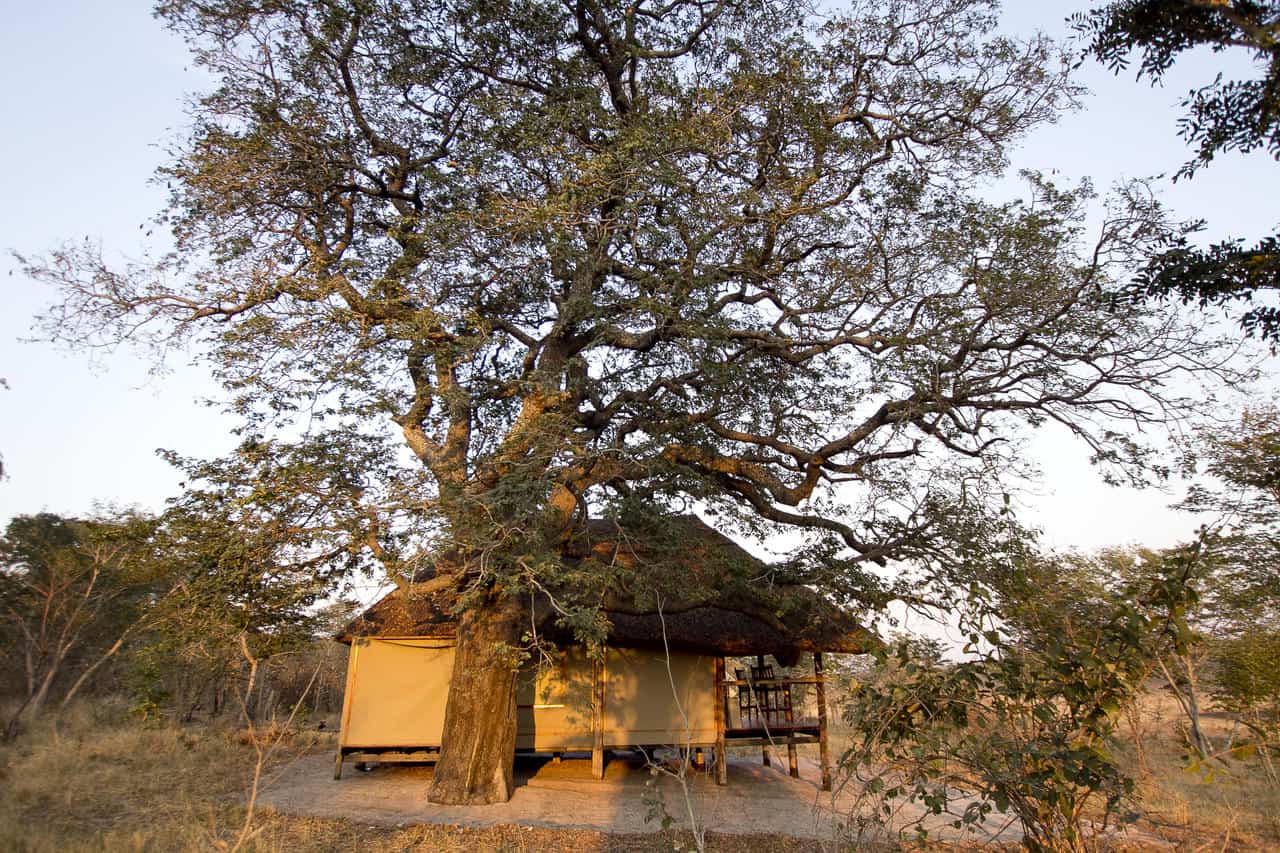 Khulu Bush Camp View