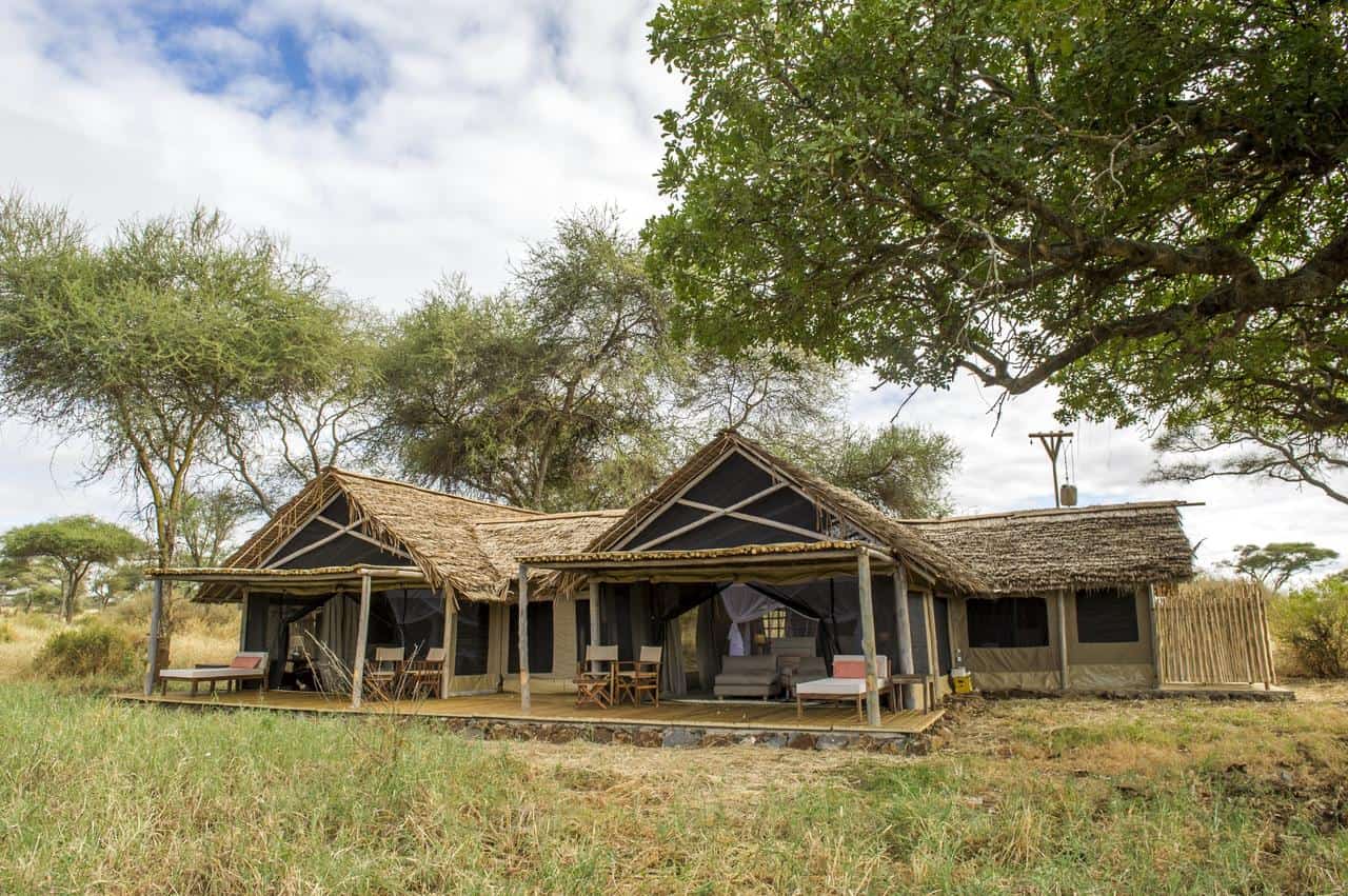 Kuro Tarangire Outdoors