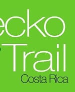 New GeckoTrail-Logo-actual