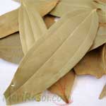 Bay-Leaf-तेजपत्ता-Tejpatta-Spices-Names-in-English-Hindi-Meri-Rasoi