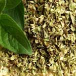 Carom-Oregano-अजवायन-मिर्जनजोश-Ajwain-ke-Patte-Spices-Names-in-English-Hindi-Meri-Rasoi