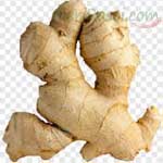 Ginger-(Fresh)-अदरक-Adrak-Spices-Names-in-English-Hindi-Meri-Rasoi