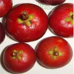 Kokum-कोकम-अमसूल-Amsool-Spices-Names-in-English-Hindi-Meri-Rasoi