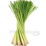 Lemon-Grass-नींबू-घास-हरी-चाय-की-पत्ती-Neembu-Ghas-Spices-Names-in-English-Hindi-Meri-Rasoi