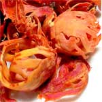Mace-जावित्री-Javitri-Spices-Names-in-English-Hindi-Meri-Rasoi