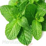Mint-Leaves-पुदीना-Pudina-Spices-Names-in-English-Hindi-Meri-Rasoi