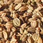 Parsley-Seeds-Wild-Celery-Seeds-अजमोद-खुरासानी-अजवायन-Ajmod-Spices-Names-in-English-Hindi-Meri-Rasoi