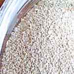 Yeast-ख़मीर-Khameer-Spices-Names-in-English-Hindi-Meri-Rasoi