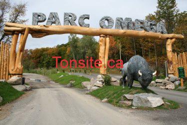 Coupon de 5$ sur une entrée au parc Omega! parcomega - Coupon de 5$ sur une entrée au parc Omega!