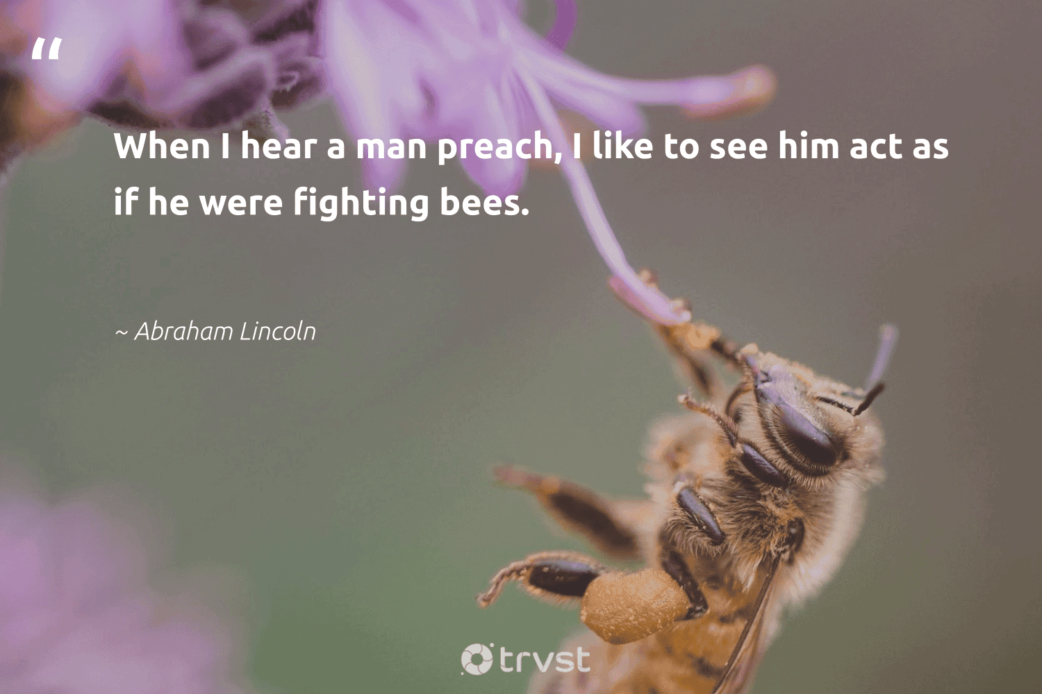 76 Bee Quotes And Famous Honey Bee Sayings Quotes