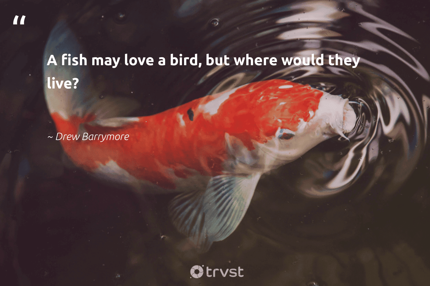 84 Fish Quotes Sayings About Fish And Marine Life