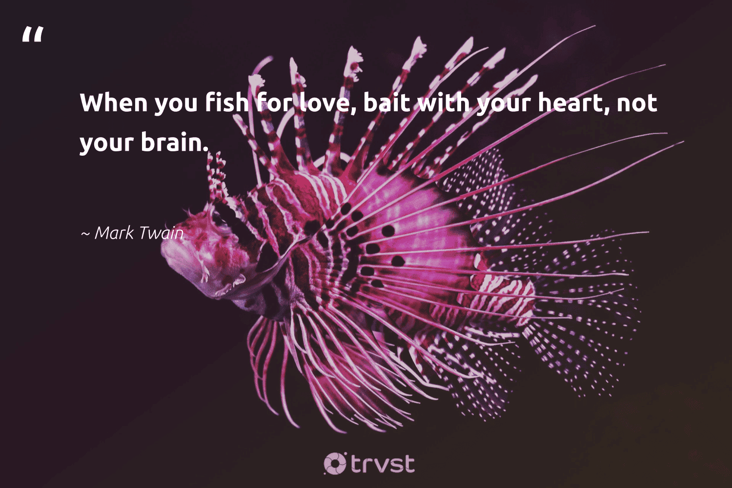 wallpapers Sweet Fishing Love Quotes 84 fish quotes sayings about fish and