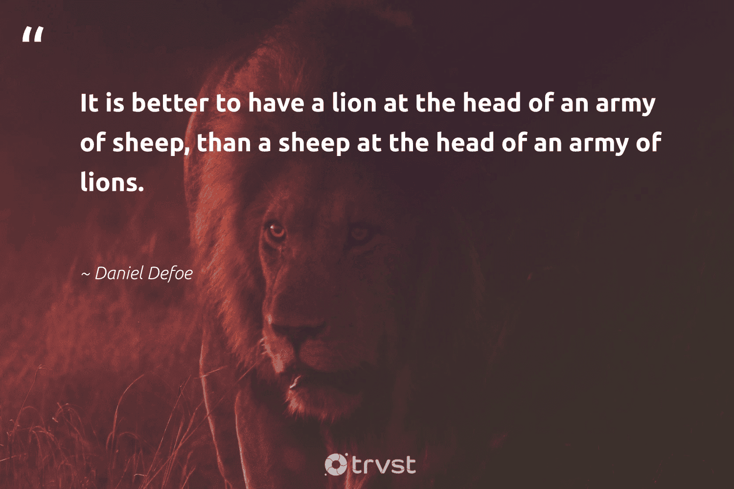 Lion Quotes 42 Inspirational Lion Sayings Quotes Lion Quotes 42 Inspirational Lion Sayings Quotes