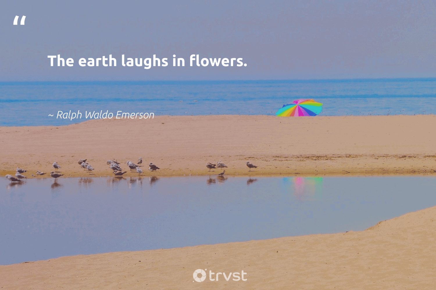 sayings save our environment quotes