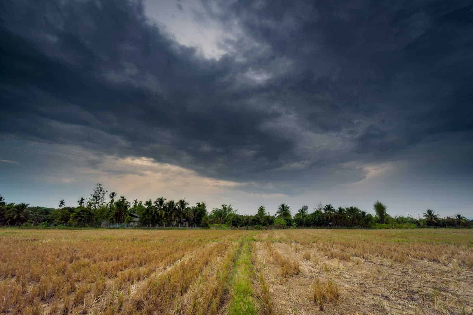 Covers and Weather Shields shutterstock stormy weather