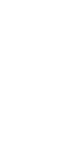 lily illustration