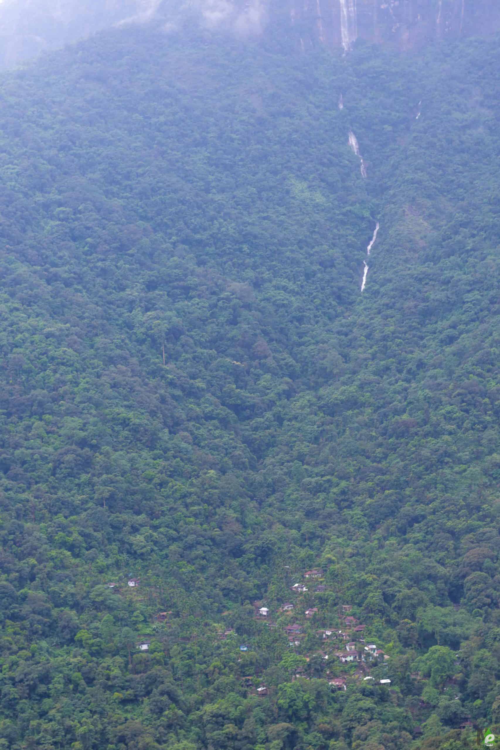living root bridge trek
