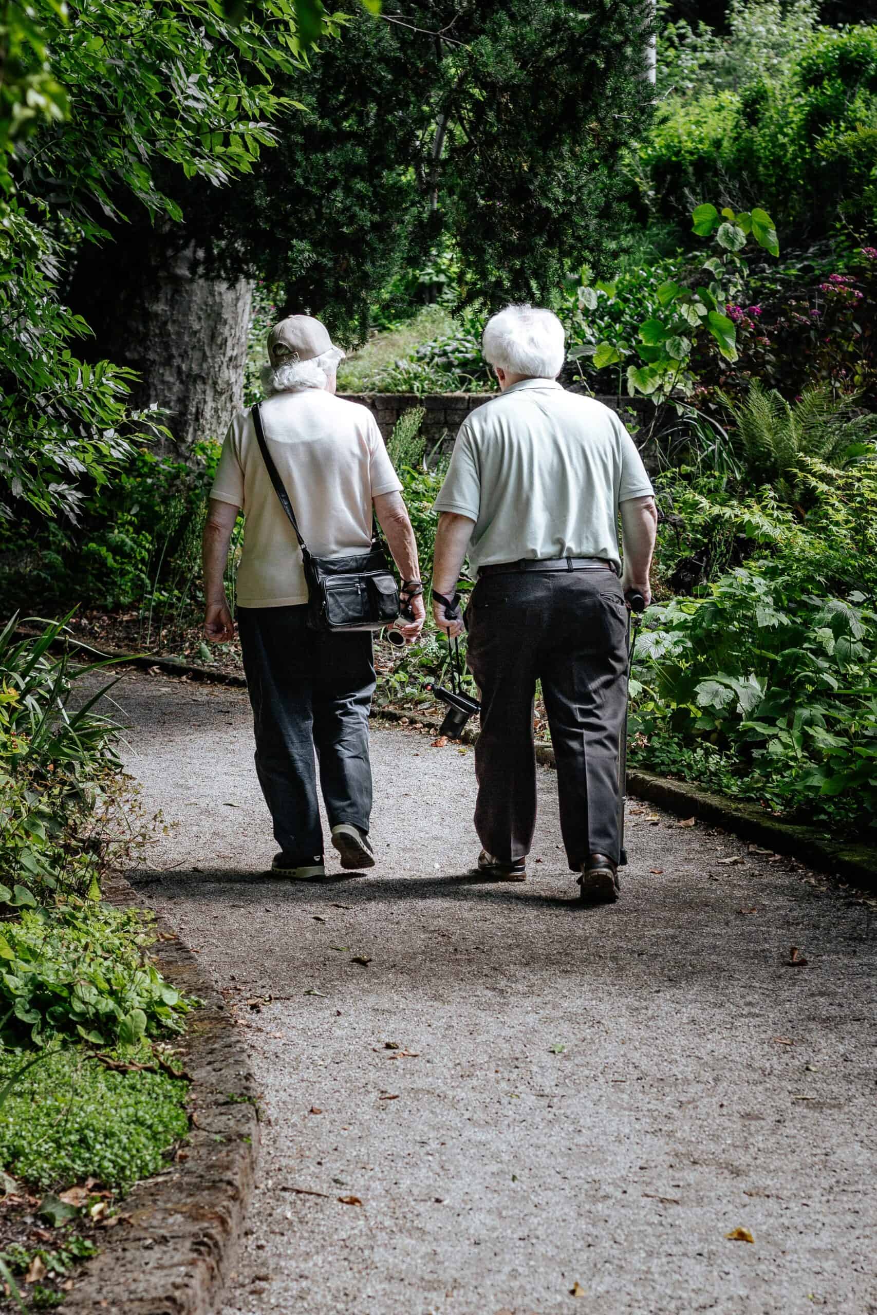 chiropractic spinal manipulation can improve pain and function in older adults with chronic lower back pain