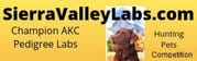 Sierra Valley Labs