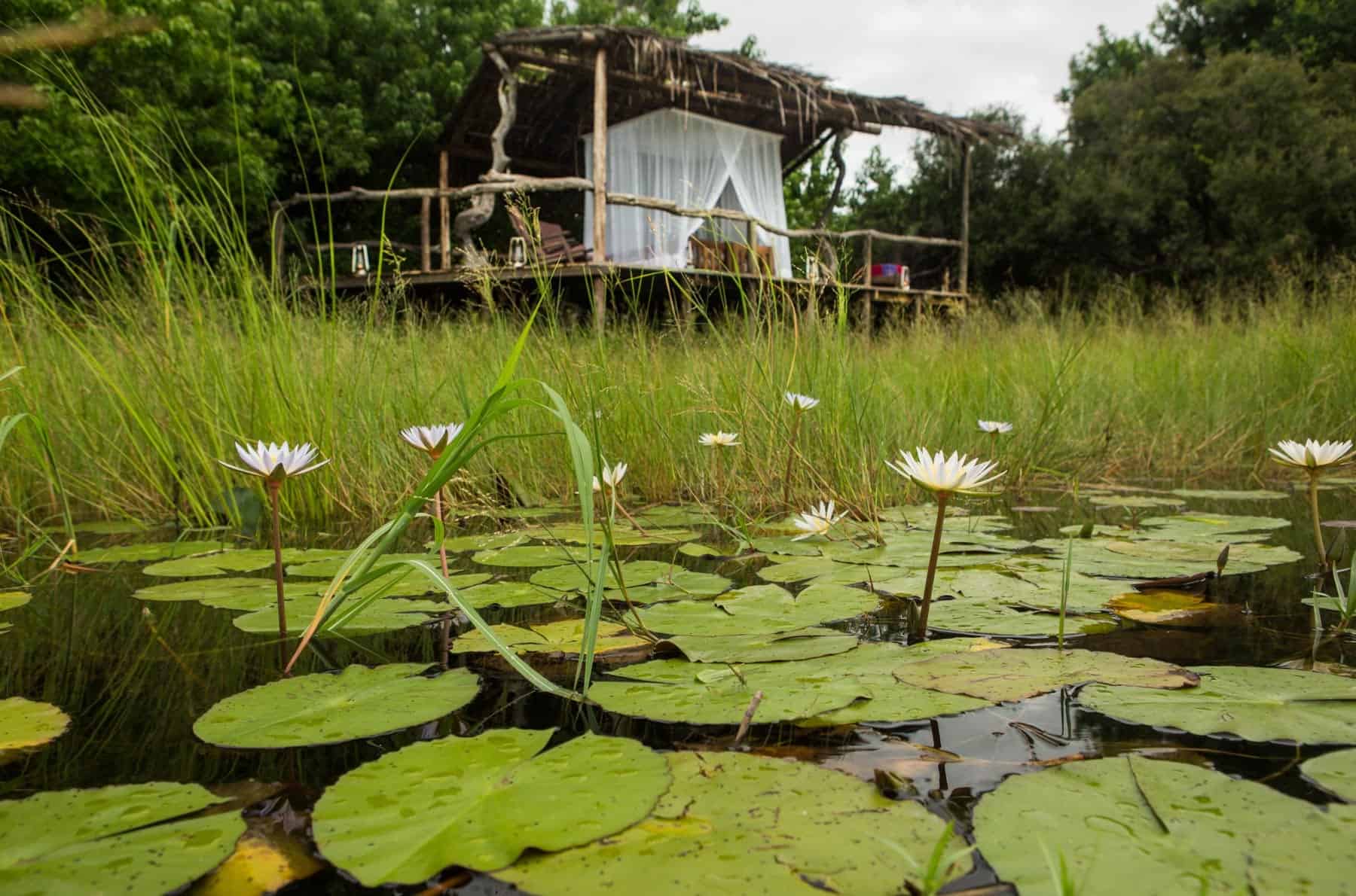 Selinda Camp Botswana