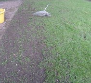 how to repair bare patches in lawn