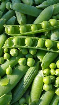 vagens de ervilhas verdes
