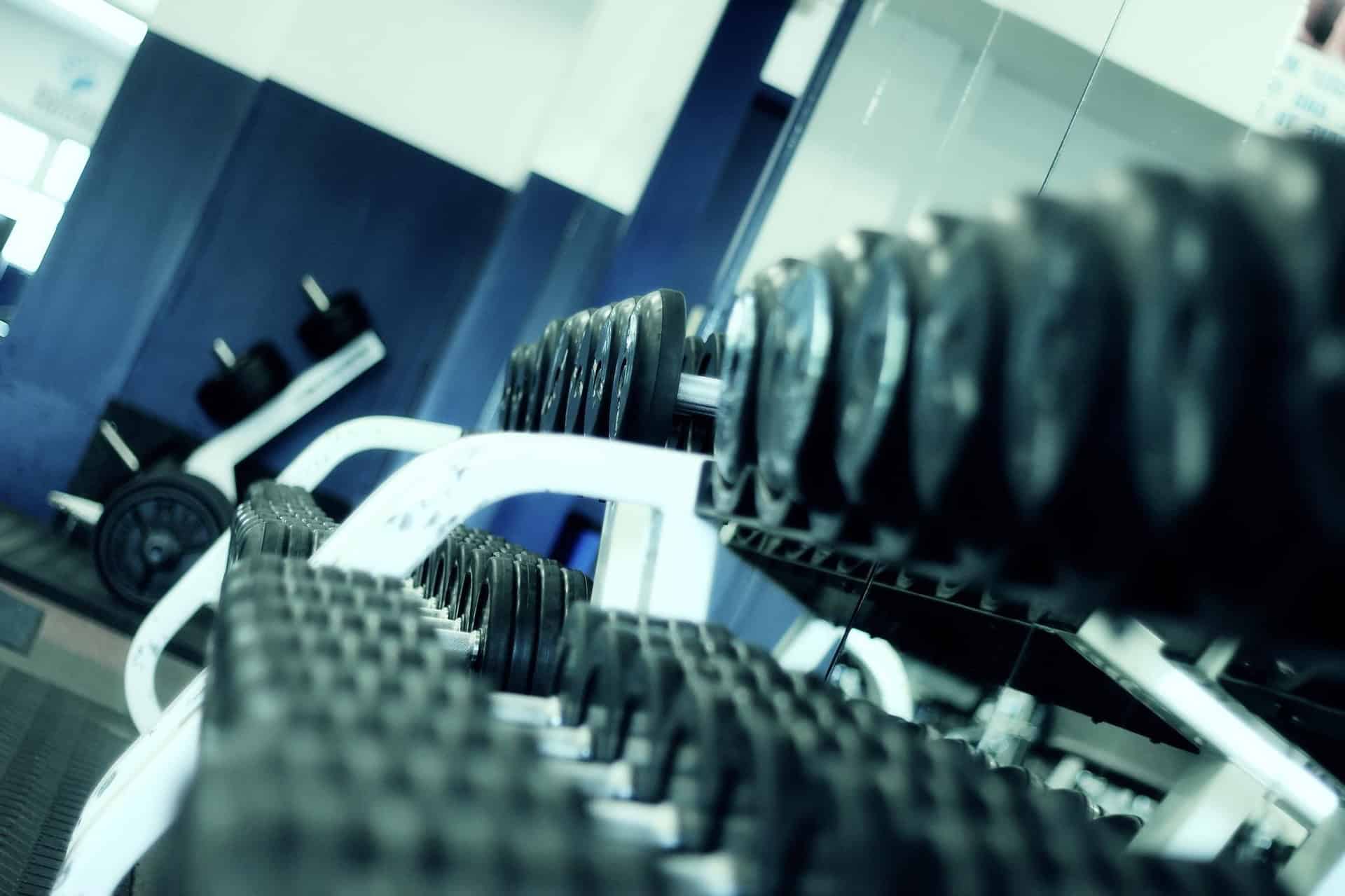weights at the gym