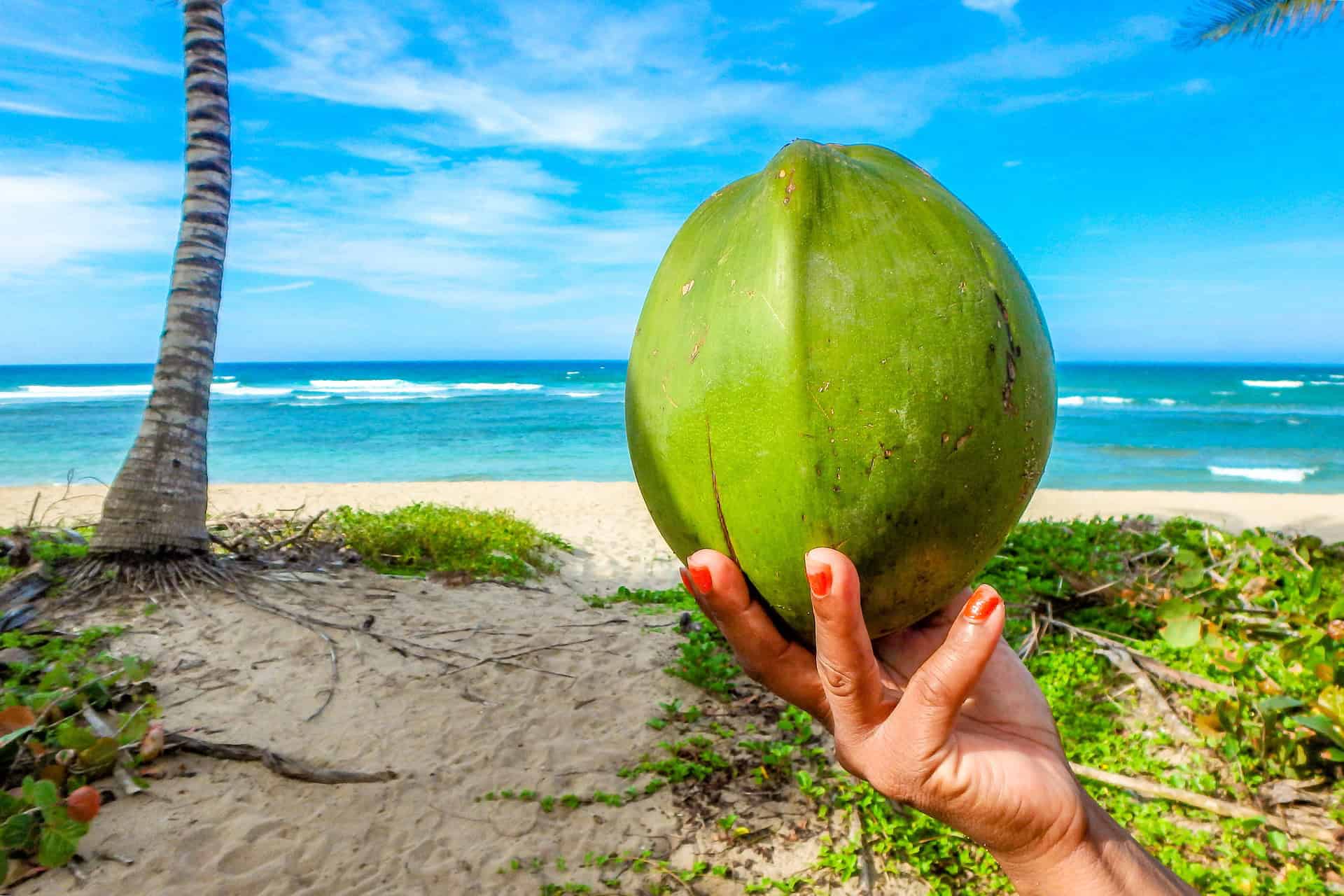 Seychellen Halbpension Buchen und die Inseln entdecken Seychellen Halbpension Buchen und die Inseln entdecken