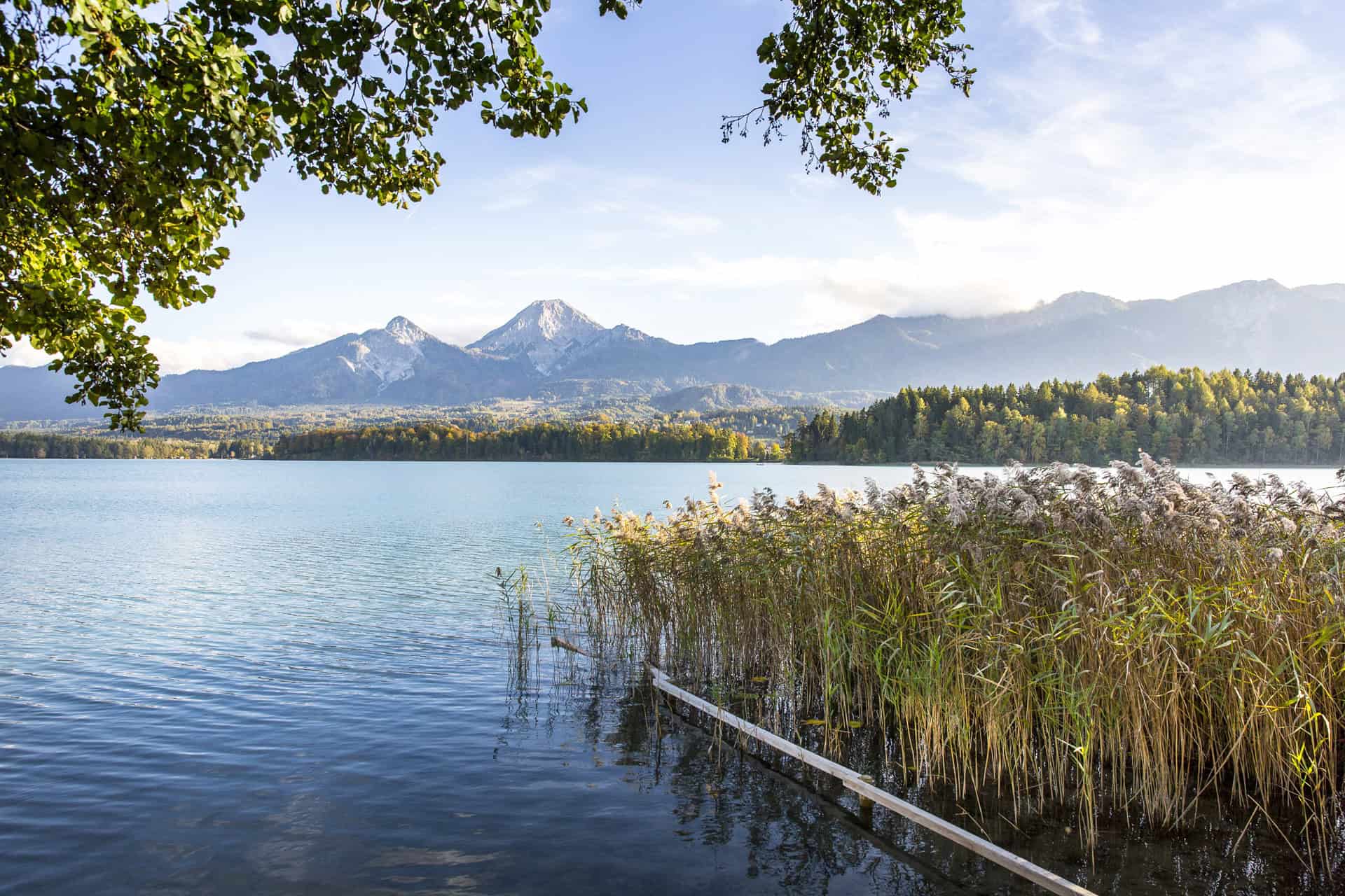 Sommerurlaub in Österreich