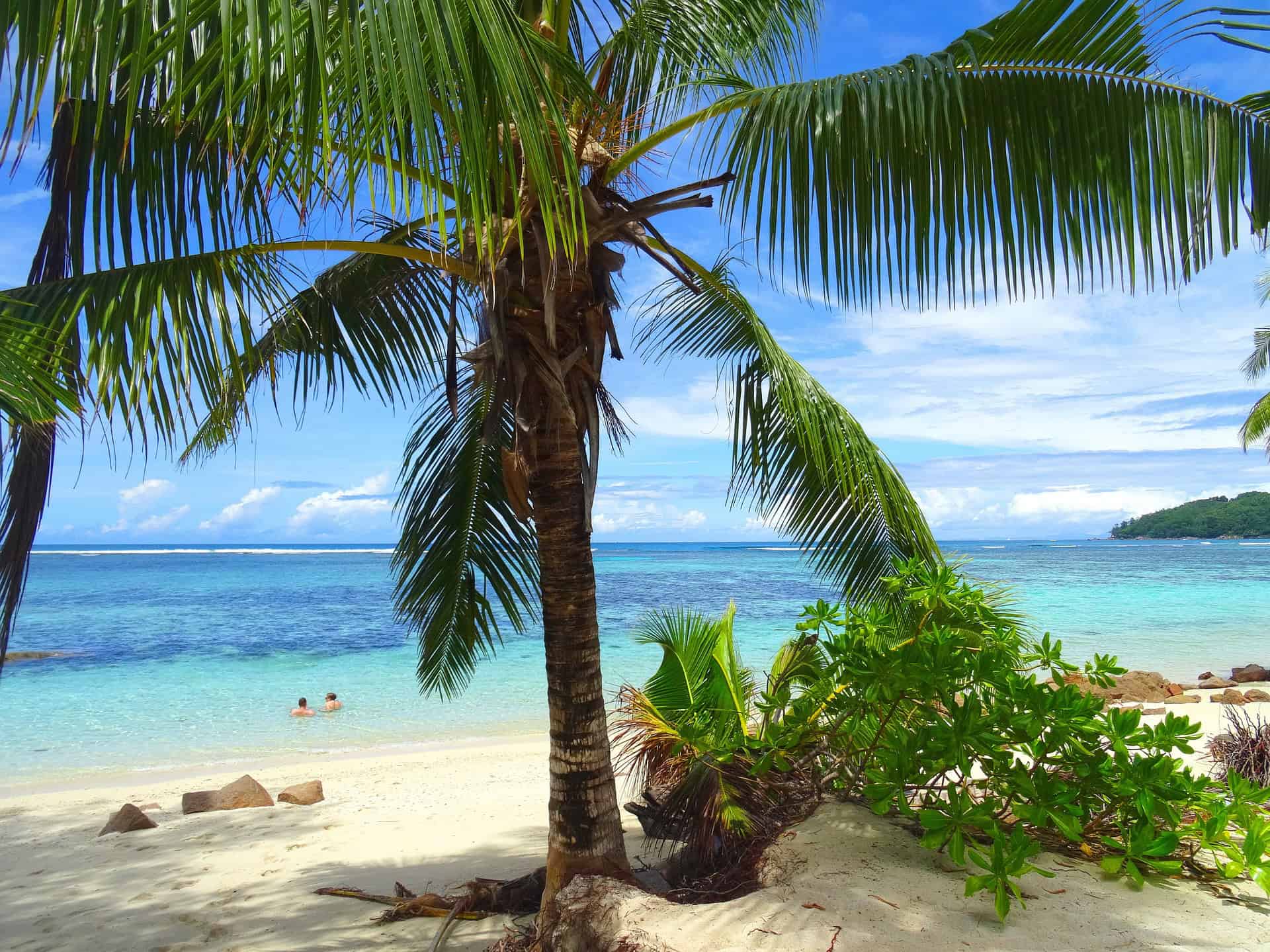 Seychellen Halbpension Buchen und die Inseln entdecken Seychellen Halbpension Buchen und die Inseln entdecken