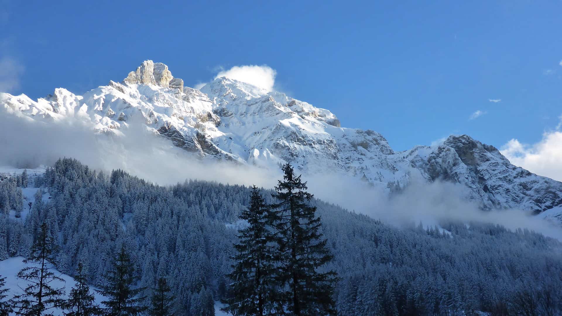 Adelboden Skiurlaub in der Schweiz - das perfekte Skigebiet Adelboden Skiurlaub in der Schweiz - das perfekte Skigebiet
