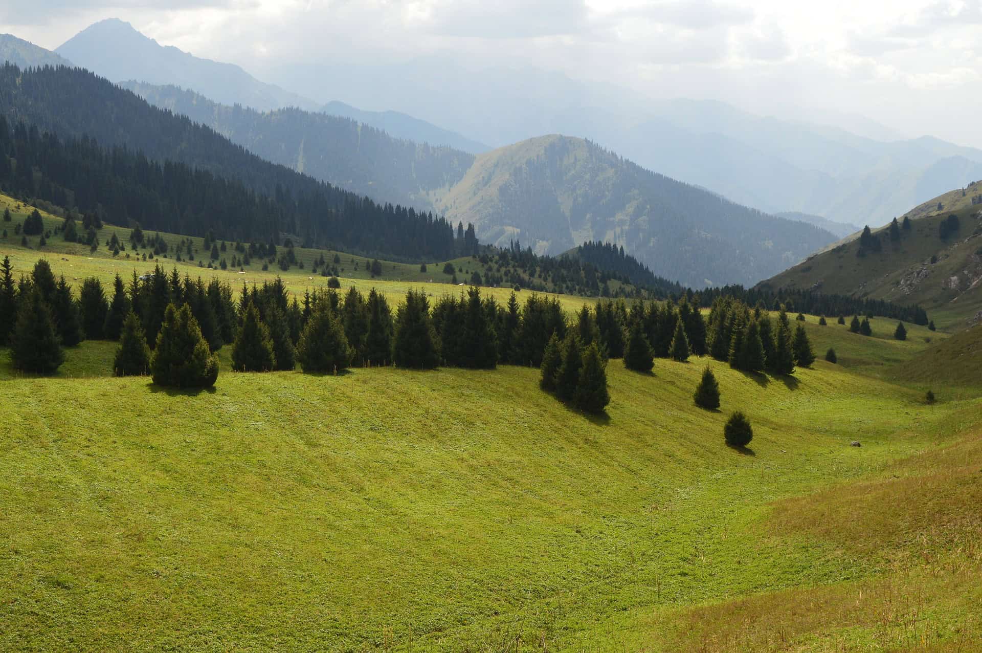 Die Metropole ist ein Paradies Die Metropole ist ein Paradies