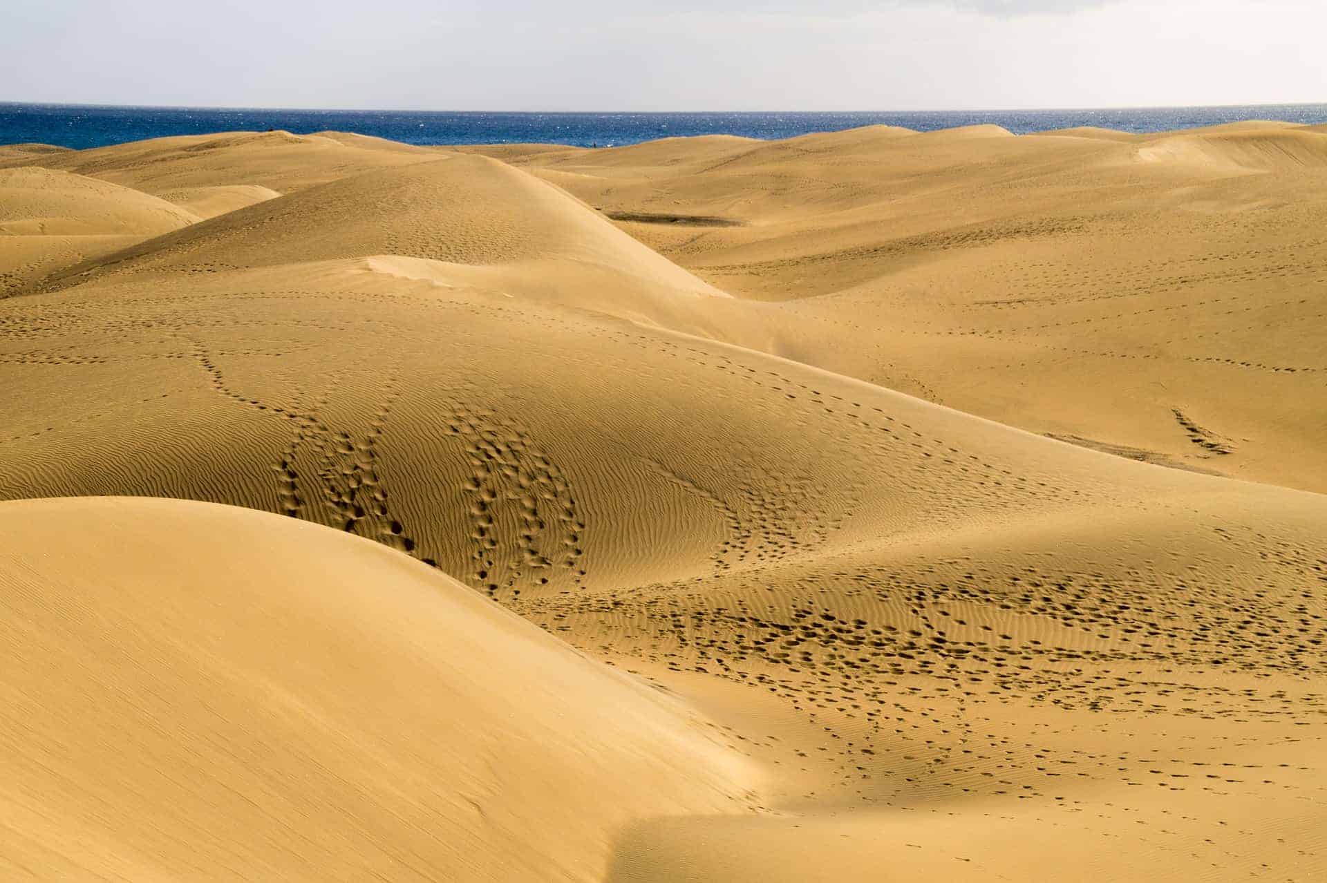 Maspalomas von der Wüstenlandschaft zum Sandstrand Maspalomas von der Wüstenlandschaft zum Sandstrand