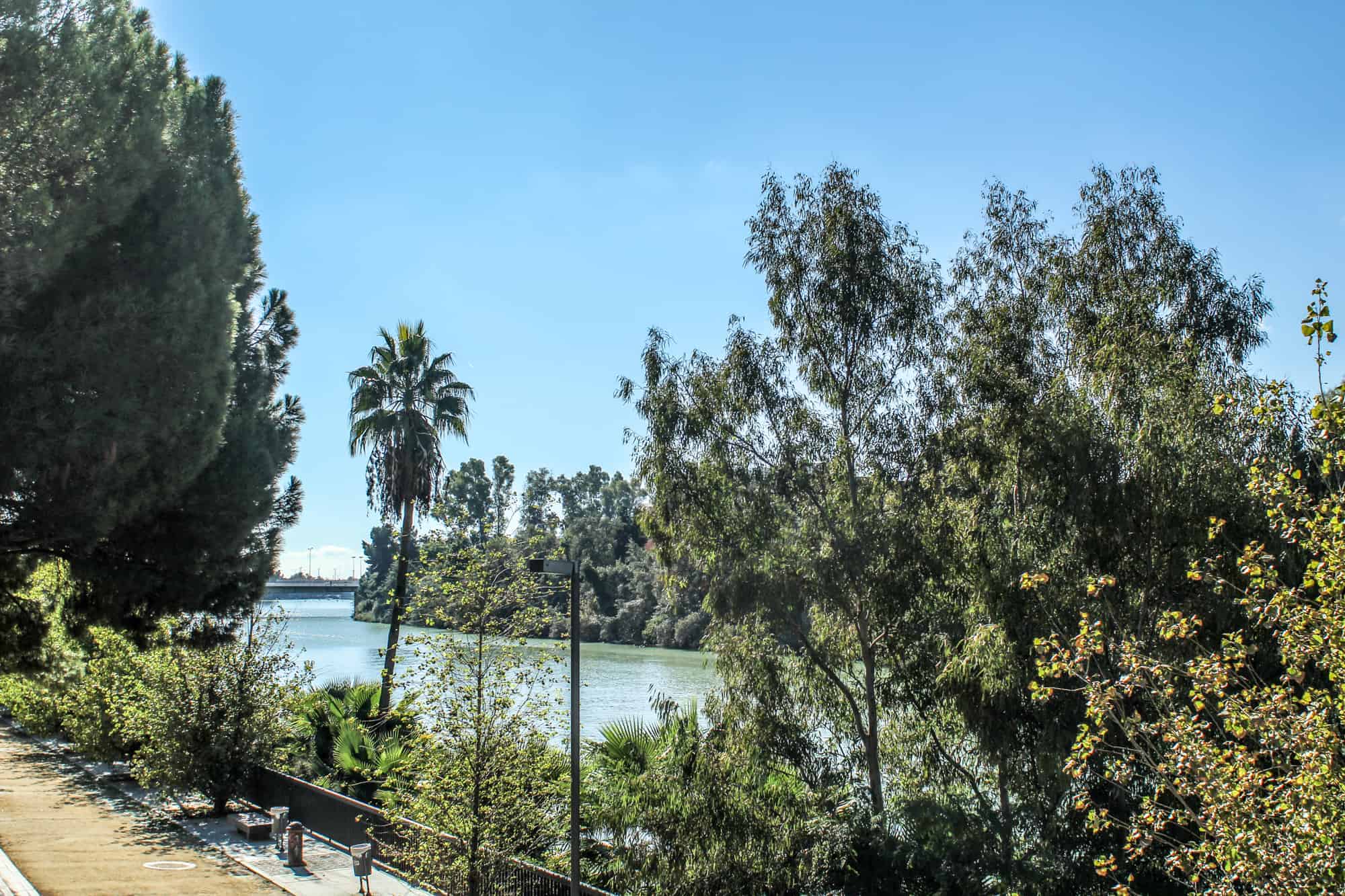 Ein Tag in Sevilla 13 Guadalquivir Sevilla