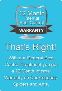 Pest control Brisbane , ipswich, Gold Coast and Logan