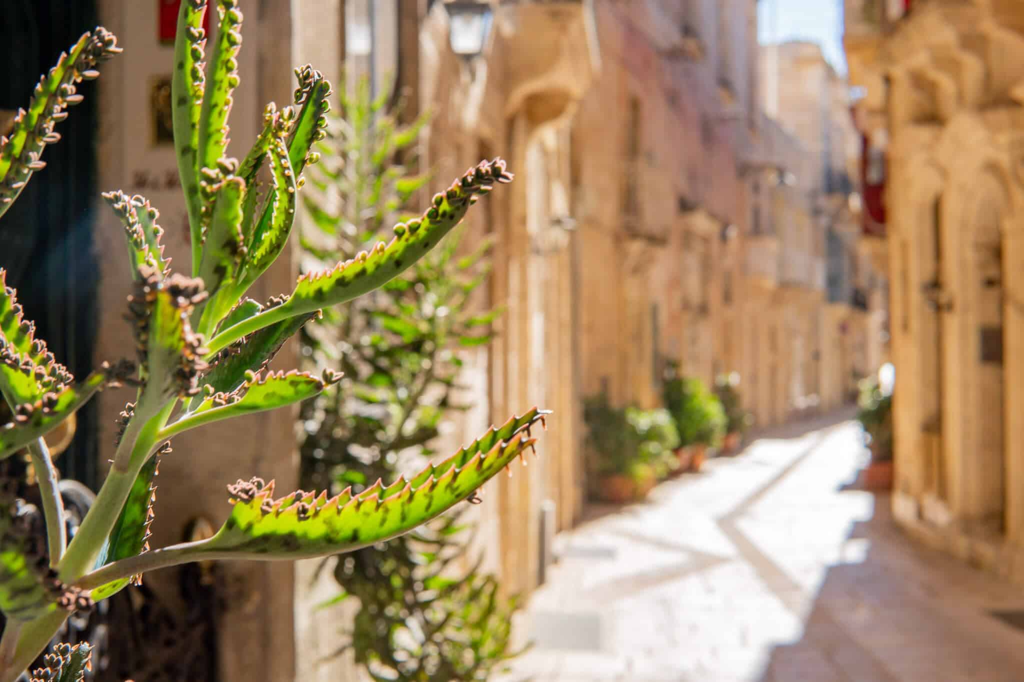 Malta Sights - 14 Must Sees in Malta 19 Vittoriosa